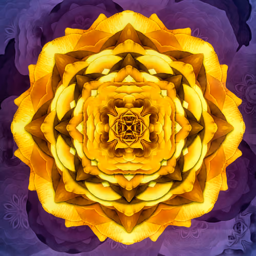 Primary Nature 024