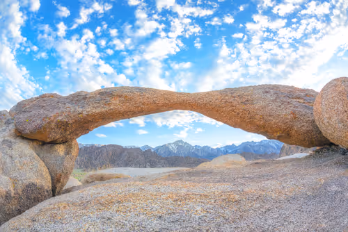 Item #56255535442096497166906347788118387649805429384771802547319845148978411733092 Media