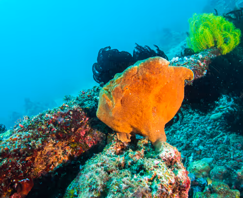 Item #85312989022681003031412442344927138418005148056611156667378218229616038903809 Media