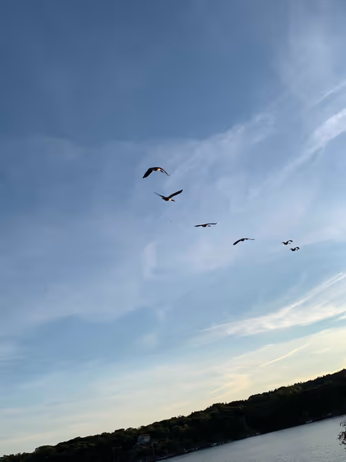 Item #34786585762302583369667834822932763663290229124647368230861745010873569640449 Media