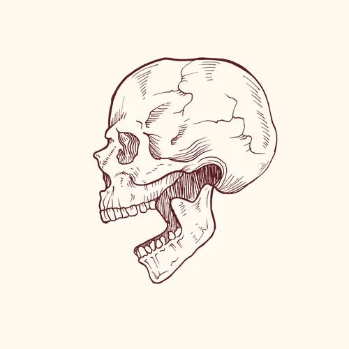 Item #74384261055002571457379278661746175393166635545947416285463590929188534616065 Media