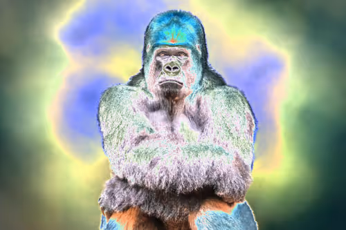 Item #37771705042607633984215485442696248406020579018981637919666644994717330178049 Media