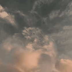 Libertad 
