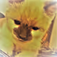 109876896244876494165829116612217282776972998645889016702827087788026871414785