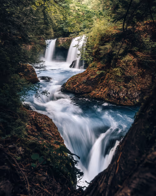 Item #104903103647378750346331157593817970478095546914968786711223283917480848785409 Media