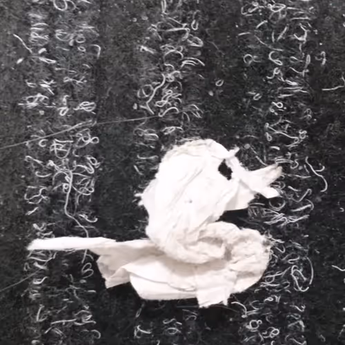 Photokenization Collection