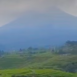 Mountain Slope