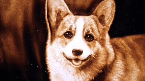 Item #64547877753568412469425259004769380681143227933510953498710243243681344651265 Media