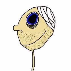 55821112555373048994313304729541094956543670019884432065562933781748076511233