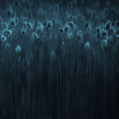 Item #111819353391232385355292732865064309059161123936801669989557009005309843210241 Media