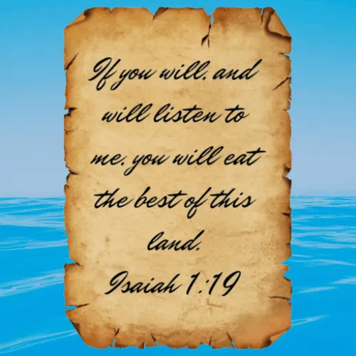Item #38709541401652465001399013235077350118197148033488468632614324451381935603727 Media
