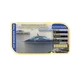 Lazy 8ight Yacht Club VIP Boarding Passes