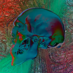 Crypto 3D Skull #3