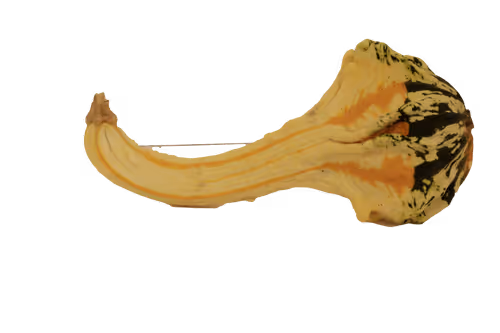 Item #35733408950682889513496686103591328439267245450055177033221291801032160968705 Media