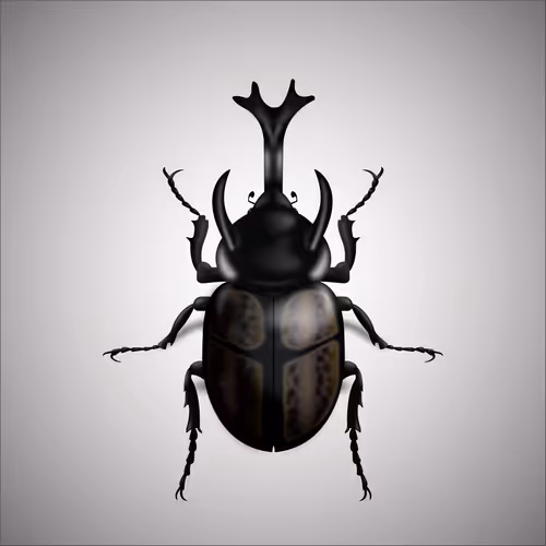 Item #15006194083360452165747859706250248338064014496976576965207407873273108627457 Media