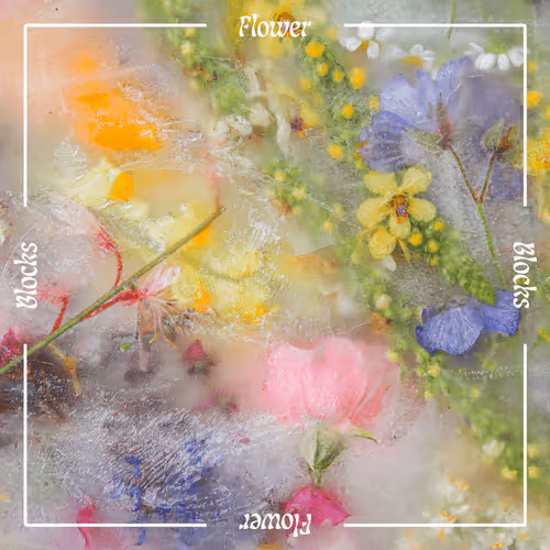 Friends Of Flower Block