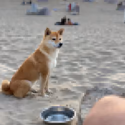 Pixe1Perfect #001