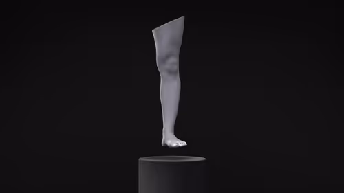 Item #62399079630127521842992022551299678559511155738281056212984605787990972694529 Media