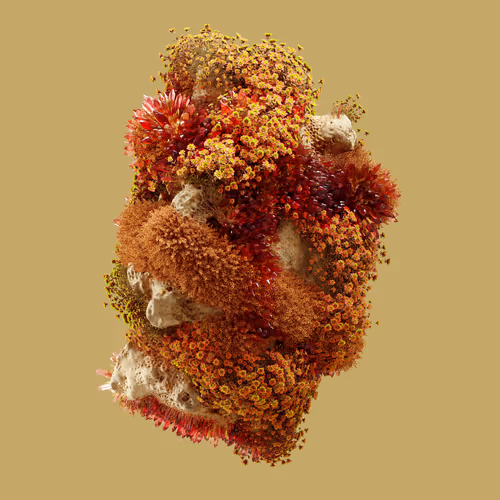 Item #29025029791859050124720480462956340608557292548544538512690378047897162743809 Media