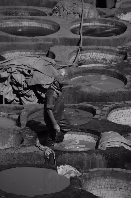 Item #44882446658105913853796509950000769097268566916228504631757224084239395323905 Media