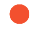Test NFT for community