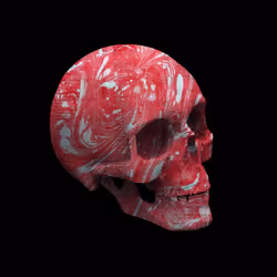 Skulls By Pierre #148