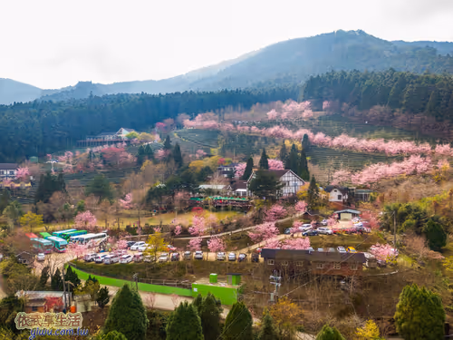 Item #100744422725674417057824683306763013505668843176654858816283483992305652727809 Media