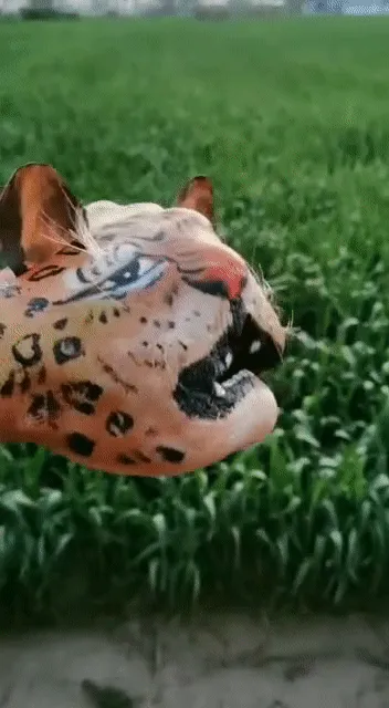 Item #98297886293652092657371597788592247398680073041274723207675993430893516554241 Media