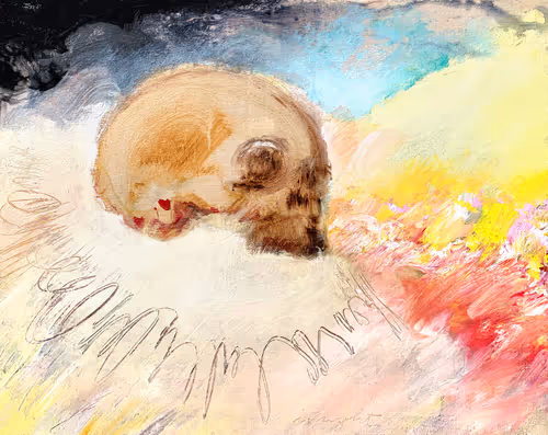 Item #9132124621156162447264105845590285150117621556178149797008197704696138301441 Media