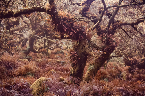 Item #72639390708267126639436568569652760193401123475841185469851730238961585487873 Media