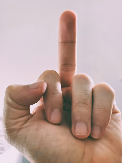 Item #56197781716024537677239957296666058743458333149567891362678828866803754598401 Media