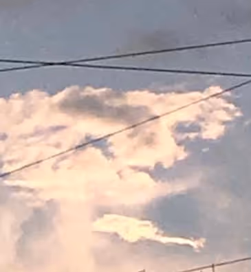 Item #1100789568959586576831595969413836830497931375394275739219669080911946711041 Media