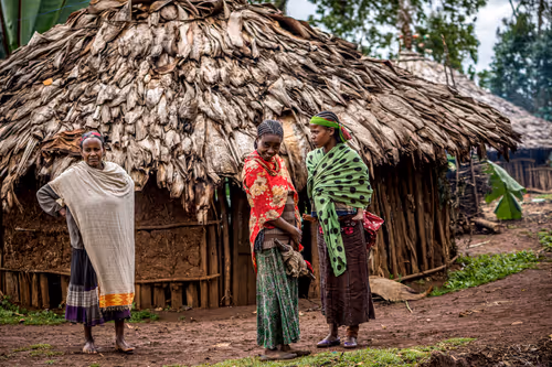 Item #50027882237522295676960542276708360859068113986169674979910834168088980619265 Media