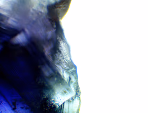 Item #71646257518770613568983710813551014237803002136866425209291834726682982350849 Media