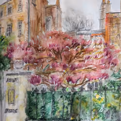 Magnolia tree, River House, Chiswick Mall, London, March 23