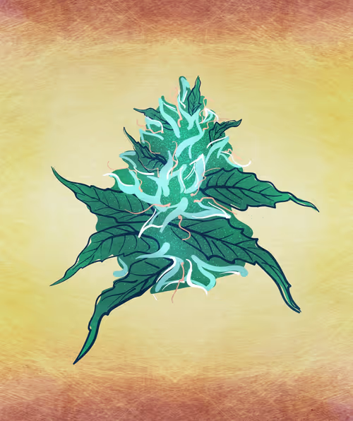 Item #88173920956366532206384104525204378846175092179682069740847406055143585611777 Media