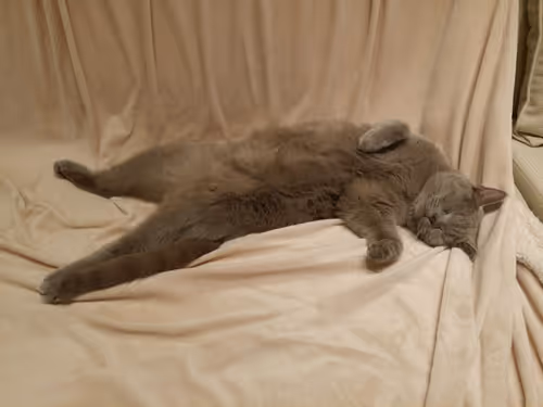 Item #100516814323253883263988332021777234412413008182040401393658401384493817528321 Media