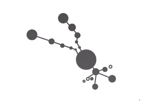 Item #63247782220672002707119776211453873084001161864741298581558112843410681364481 Media