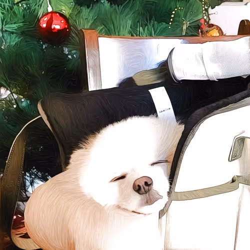 Item #46460775449334421216316860740668723509771506754498136768887223828465965858817 Media