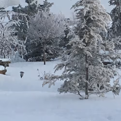 GeorgeGT79 Collection