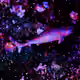 101713277105975589639880448454091243544280285560533982294413791164074337239041