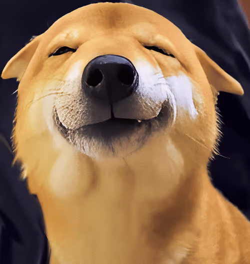 Item #34470142884482375674331152583341387110725961593908059002011227345438757617764 Media