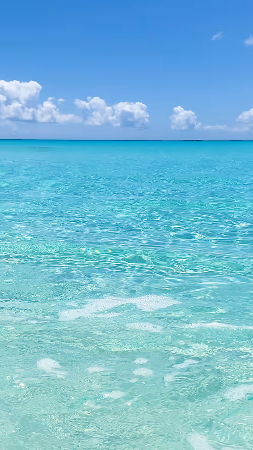 Item #21182267617506779564808976135633405362174435618791925445705395855109570691073 Media