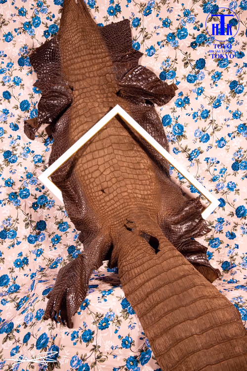 Item #65718052376404825530132698476454308049276015836189851915939897229636731404289 Media