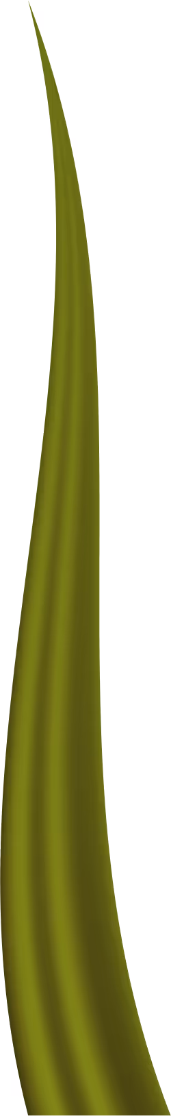 Item #78763235517899702300642317908544281341520076745003203023483945970818472738817 Media