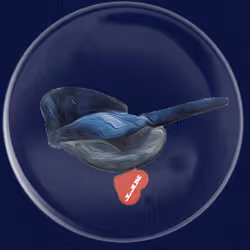 41776025324002017952572422073316458441069080831023694546850787189269687435265