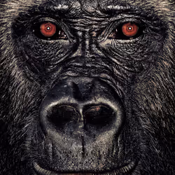 109162157552346088047496633038404394118504199992061596446112929744768152371201