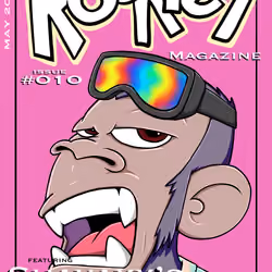 Issue 010