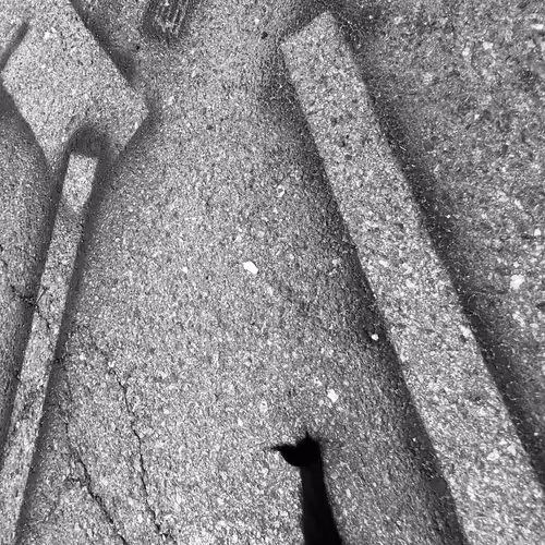 Item #56431751608181922231259635946092067407977788553703326303680802301954641362945 Media