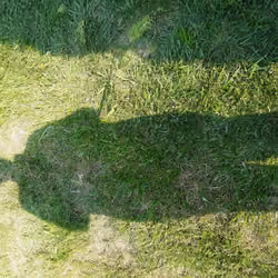 Shadow Woman